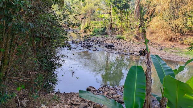 写真 インドネシアの川の壁紙