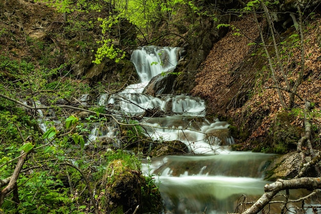 Речной водопад в лесу