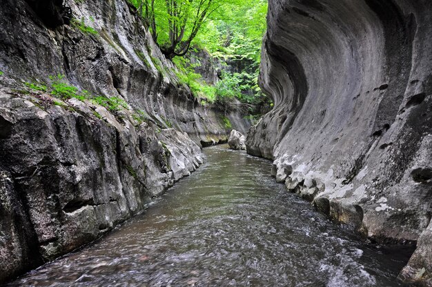 River in a wild gorge