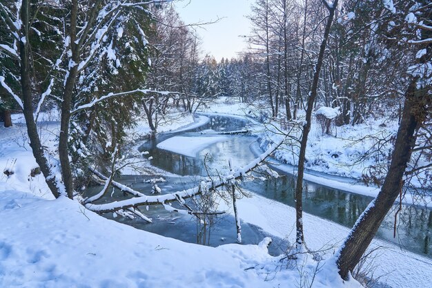 厳しい霜の間、川は雪に覆われた森の中を曲がりくねっています