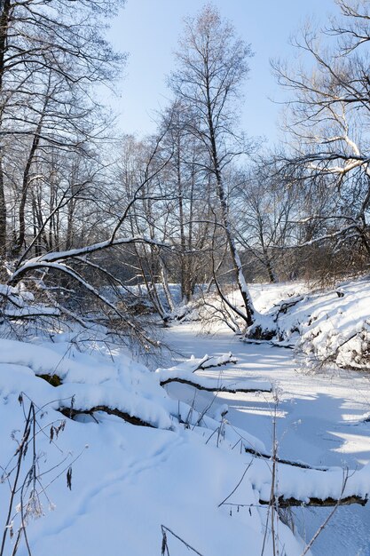 Fiume d'inverno