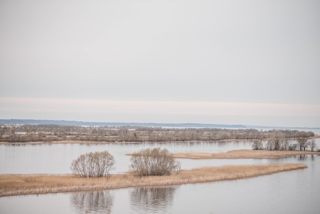 Foto un fiume con alcuni alberi al centro