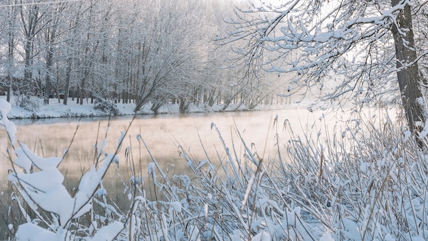 River with fog