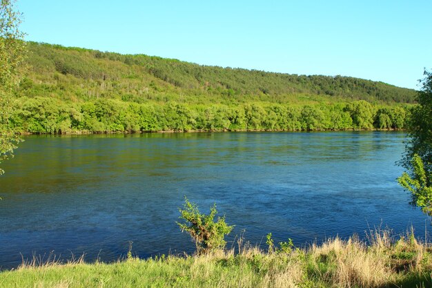 a river with a forest in the background