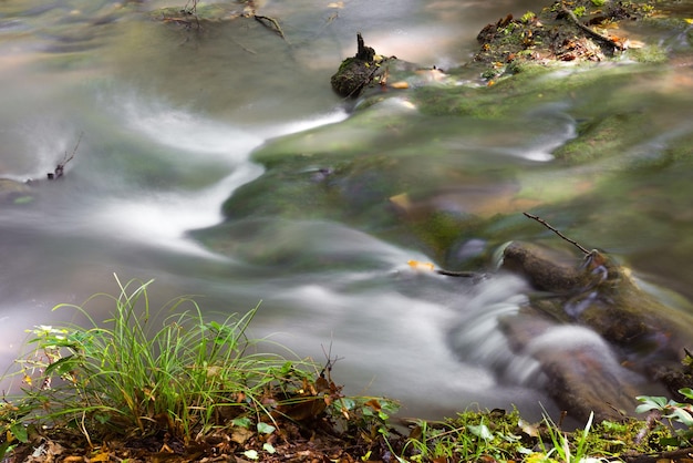 A river with a green grass and rocks