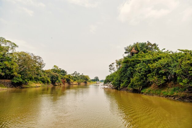 River with green trees on banks on grey sky background in santarem, brazil. traveling on water concept. summer vacation and adventure