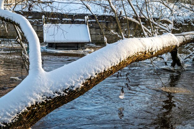 日の出の冬に傾いた雪に覆われた木と川