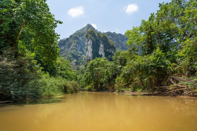 A river with a mountain in the background