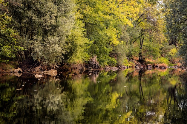 The river with a quiet current 