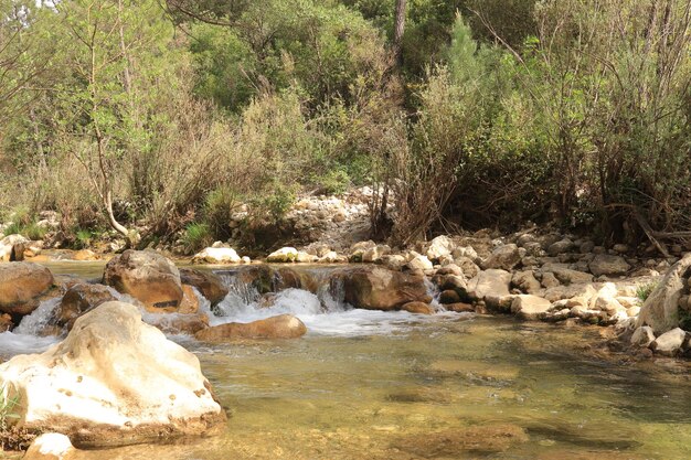 Photo a river with a rock in the middle