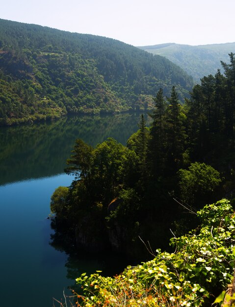 Photo river  with steep foresty banks