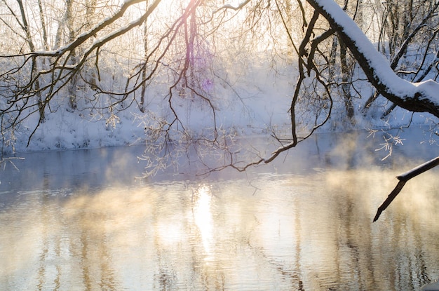 A river with a tree in the foreground and a snow covered riverbank in the background