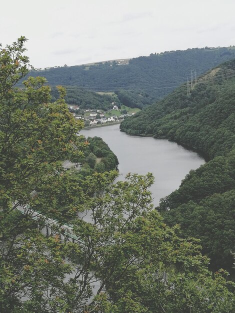 River with trees in background