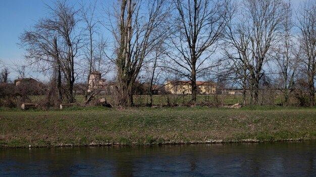 A river with trees and houses in the background