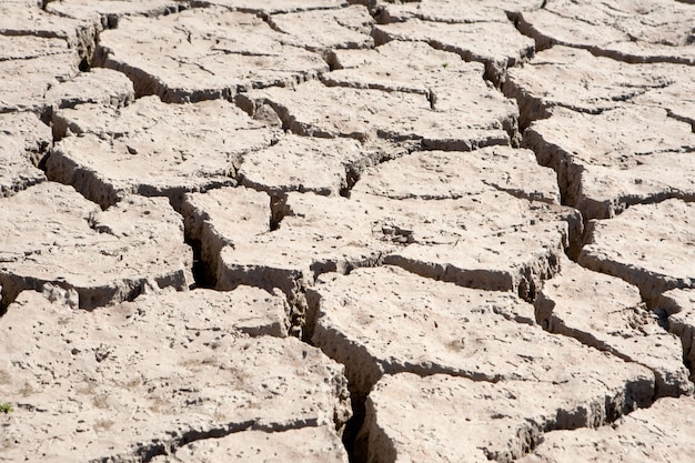 Riverbed without water for drought