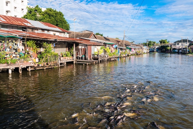 Villaggio tailandese sul fiume