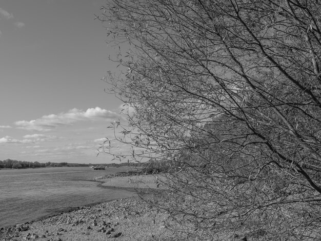 rivier de Rijn