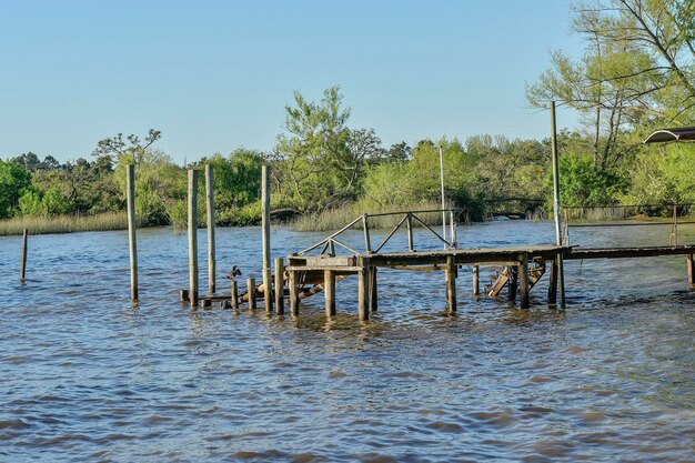 Rivier de tigre naast de stad buenos aires in argentinië