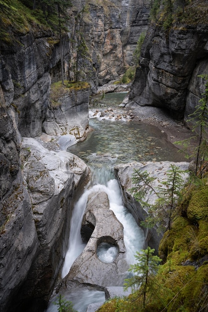 Rivier die door een diepe kloof stroomt met bemoste muren verticaal geschoten Jasper NP Canada