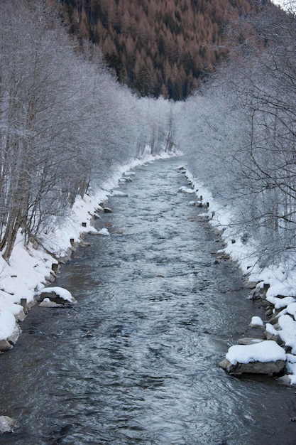 Foto rivier die in de winter tussen kale bomen in het bos stroomt