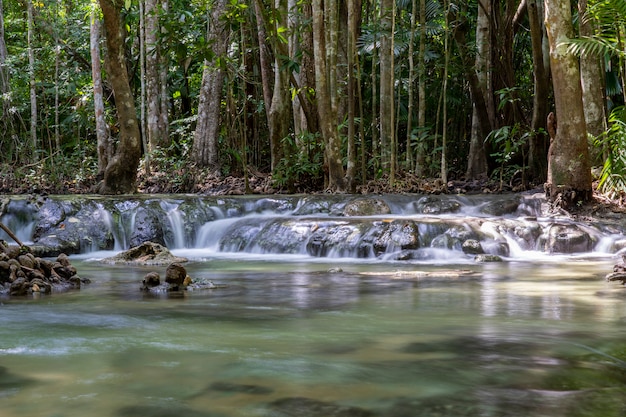 Rivier diep in bergbos. Samenstelling van de natuur