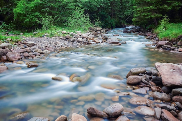 Rivier diep in bergbos