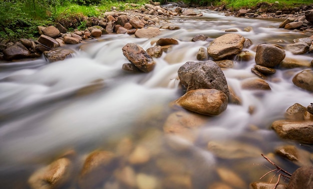 Rivier diep in bergbos