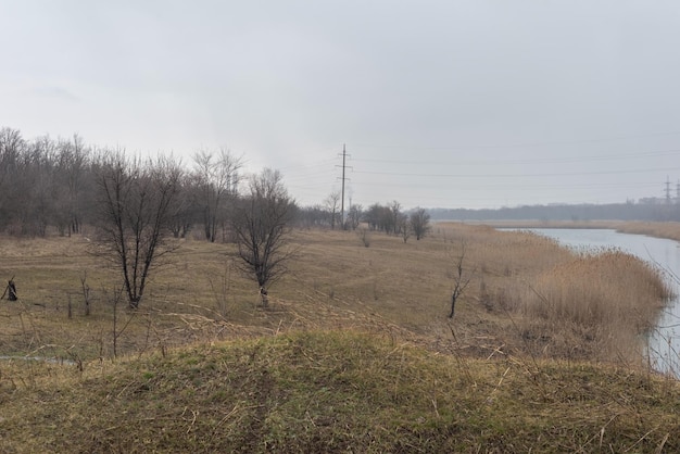 Rivier dramatisch somber landschap van de bank met bomen in het vroege voorjaar