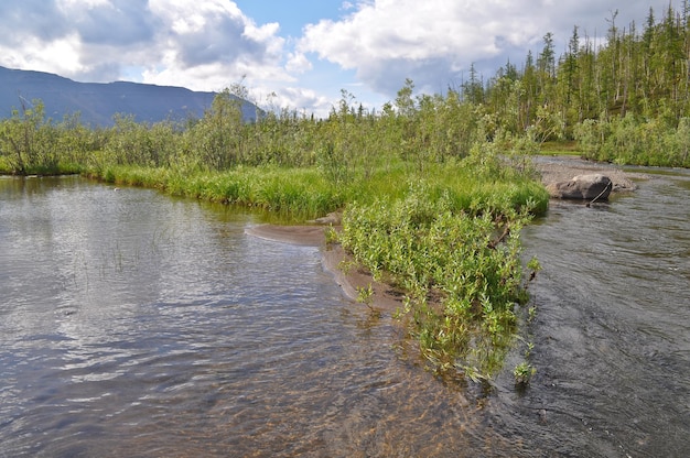 Rivier in bergtaiga