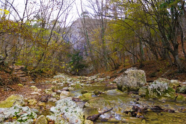 Rivier in de bergen