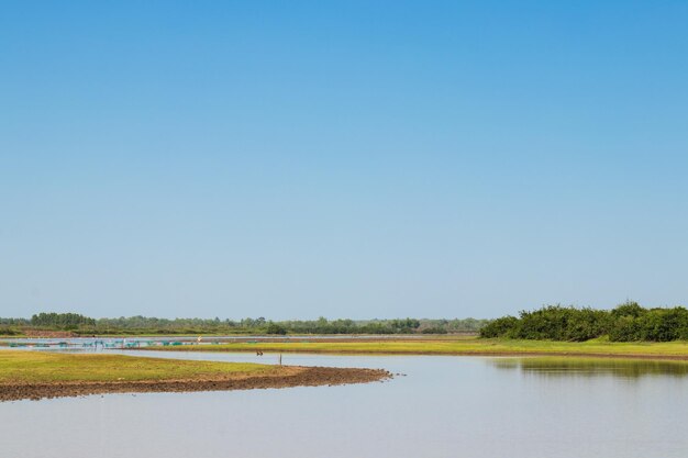 Rivier in de droogte met groene bomen Landschaprivier in de Droogte