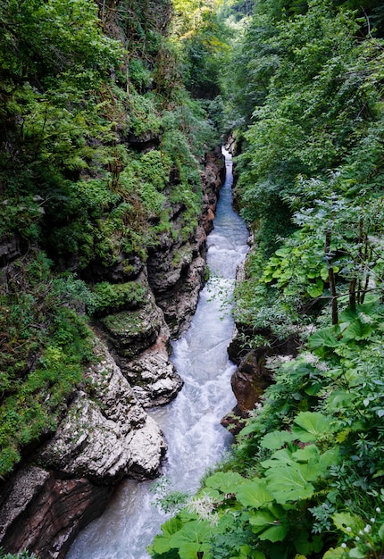 Rivier in de Guam-kloof, Krasnodar-grondgebied, Rusland