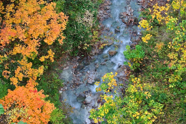 Rivier in de herfst Japan