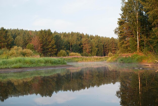 Rivier in de natuur op een zomerse dag, vroeg in de ochtend