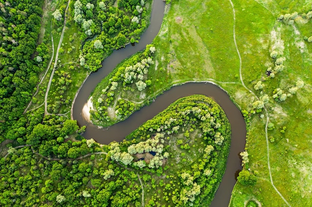 Rivier in de weilanden