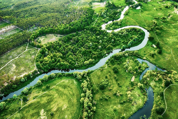 Rivier in de weilanden