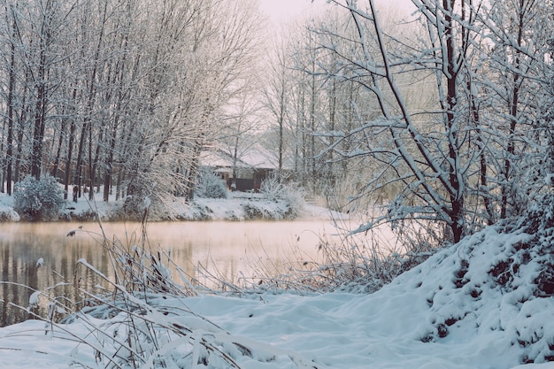 Rivier in een besneeuwde bos