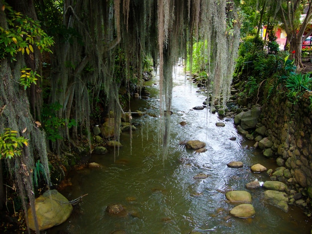 Rivier in een dorp