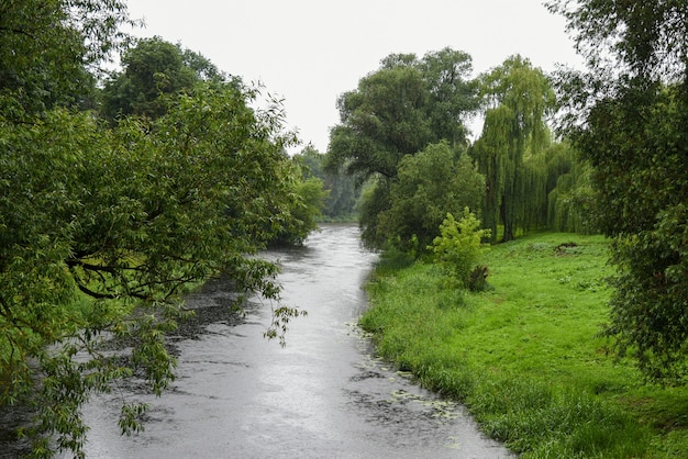 Rivier in een groen park tijdens de regen.