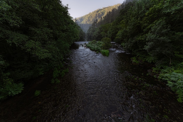 Rivier in groen weelderig regenwoud in een vallei eume rivier fragas do eume natuurpark donkere stemming