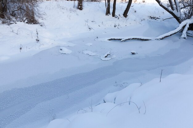 rivier in het bos in de winter