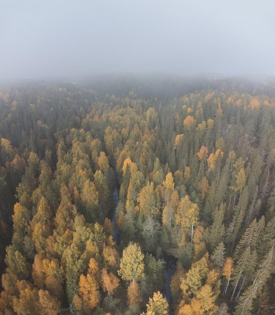 Rivier in het herfstbos Drone-weergave