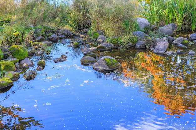 rivier in het herfstbos