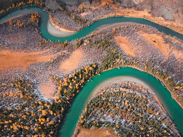 Rivier met gele herfstbomen Chuya rivier in Altai gebergte Rusland