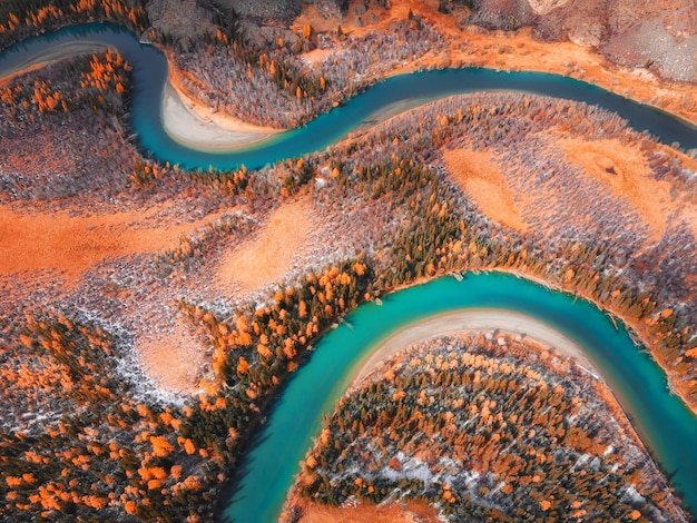 Rivier met gele herfstbomen Chuya rivier in Altai gebergte Rusland