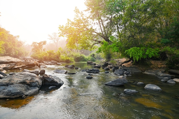 Rivier stroom waterval in boslandschap prachtige natuur waterstroom met rotsen in het tropische woud kleine berg waterval water stroomt en steen helder water in berg rivier met boom