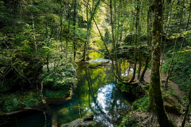 Rivier stroomt in oerwoud