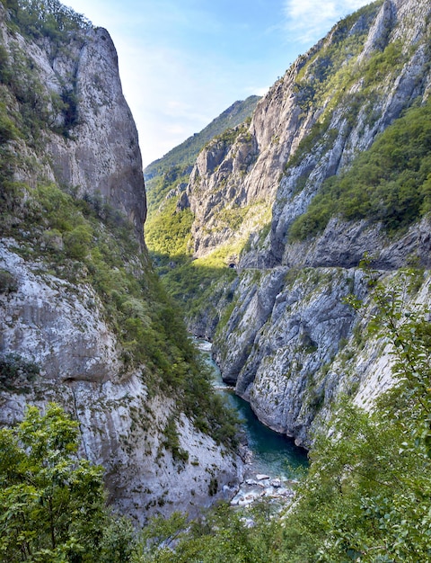 Rivier Tara met de groene canion van de water lopende trog. UNESCO, Montenegro.