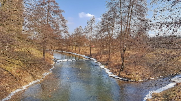 Foto rivier te midden van kale bomen in het bos tegen de lucht