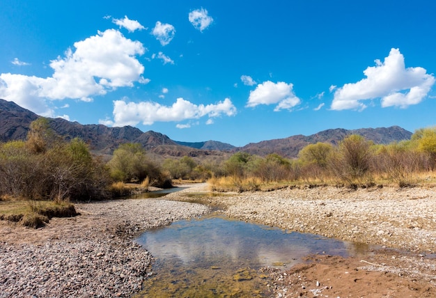 Rivier tussen de bergen Rustig transparant ovda Zomerlandschap Boom Gorge Kirgizië